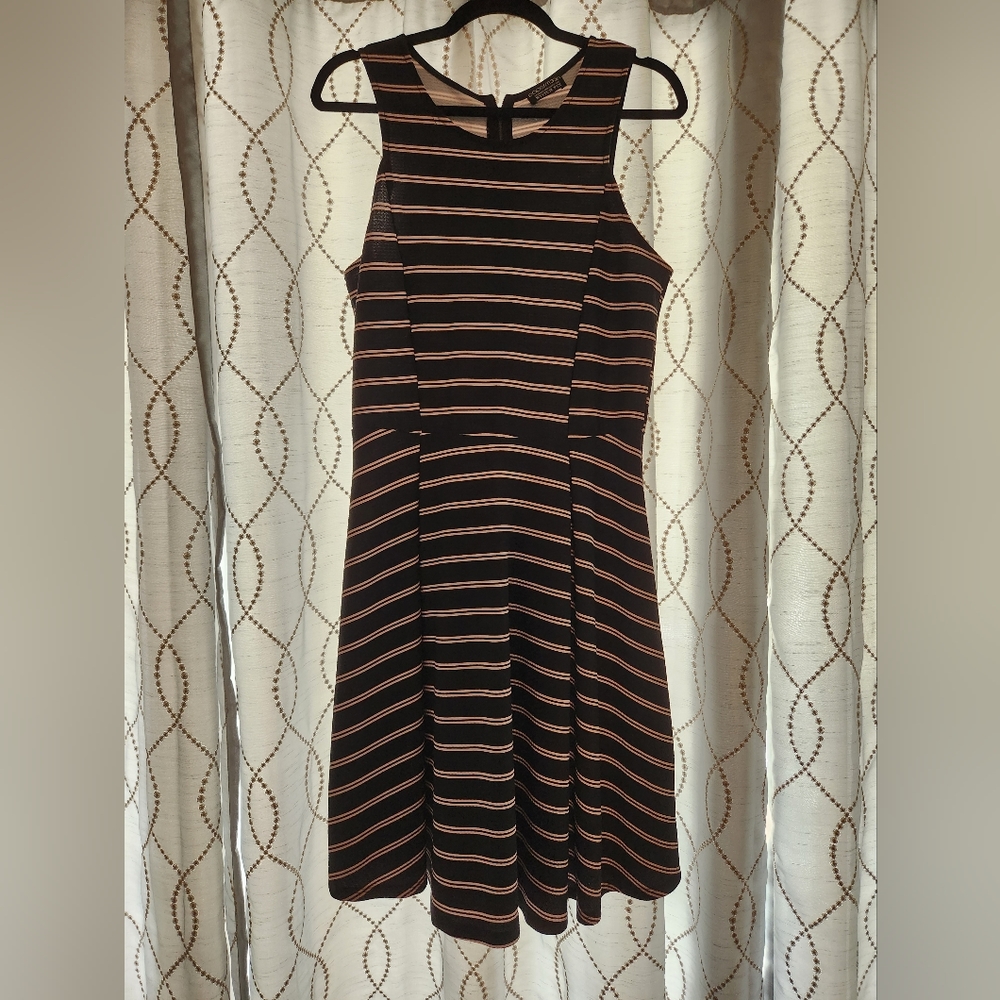 Papermoon Black and Pink Striped Dress  (stitchfix)